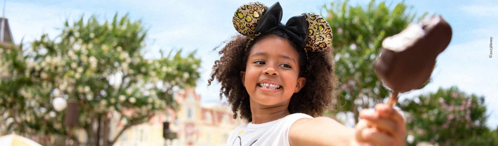 Magic Kingdom Park